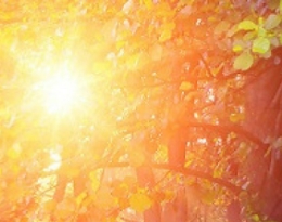 SAH-SLAV-SLUNOVRAT_uvod